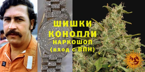 прущие грибы Армянск