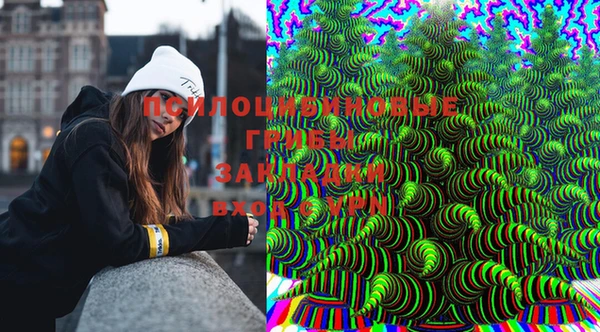 винт Аркадак