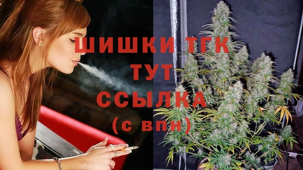прущие грибы Армянск