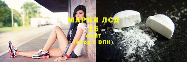 прущие грибы Армянск