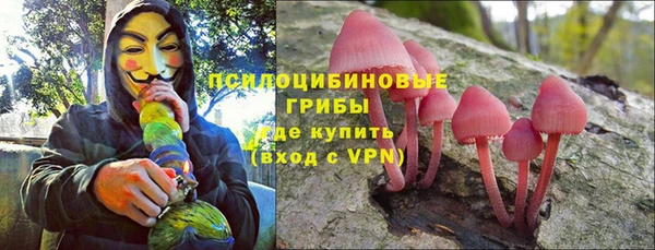 прущие грибы Армянск