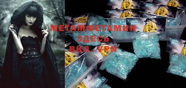 прущие грибы Армянск