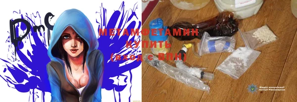 прущие грибы Армянск