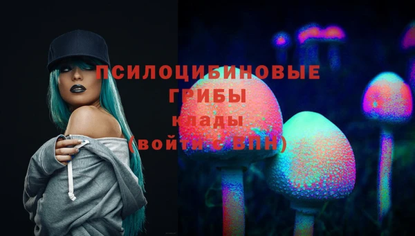 ECSTASY Баксан